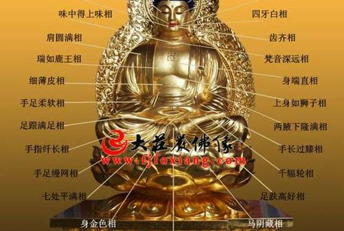 佛学常识佛陀十种称号是什么、佛陀叫啥