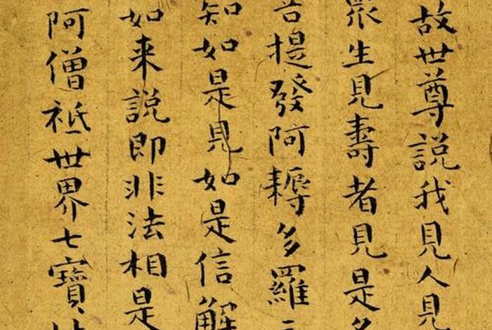 金刚经佛学智慧；金刚经学佛网