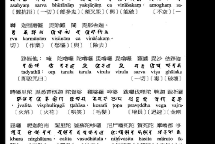 佛教总共有多少经文，佛教总共有多少经文和经文