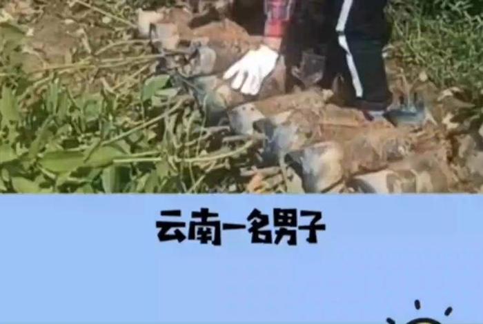 云南省冷知识大全；云南冷知识问答
