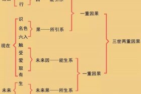 佛教理论如何学好知识点，佛教理论如何学好知识点的