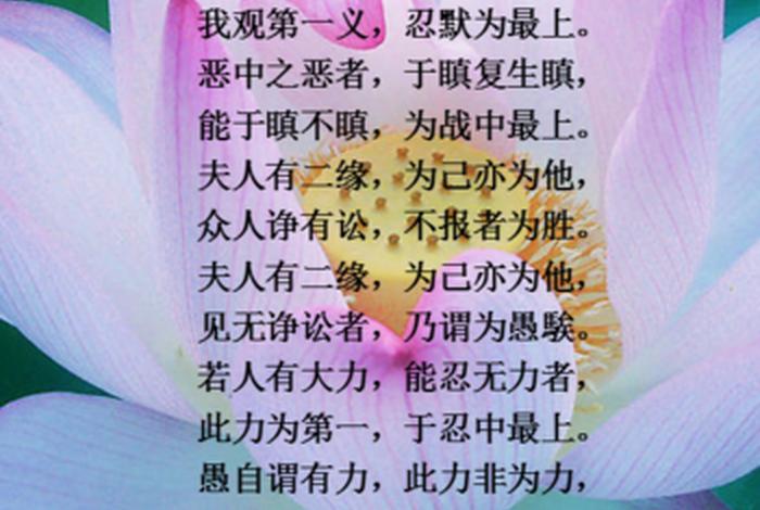 境界比较高的佛教用词 - 佛教的境界词语