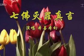 佛教最好听视频，佛教视频歌曲大全