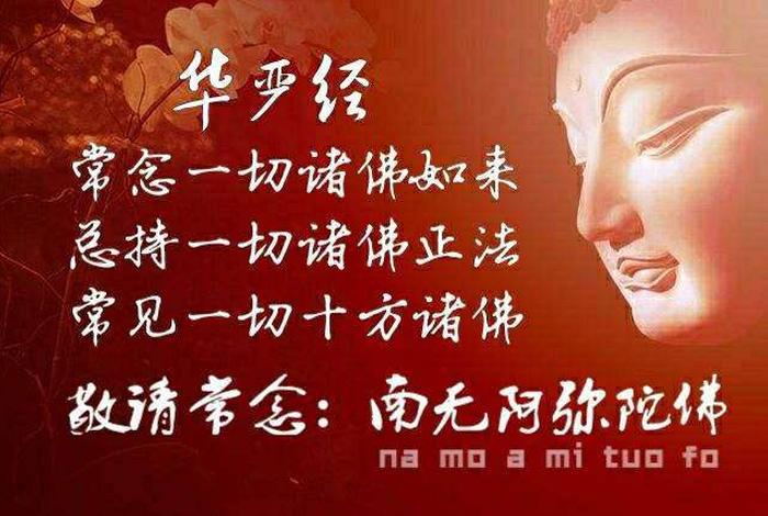 佛教人士是什么 佛教主要是什么人种