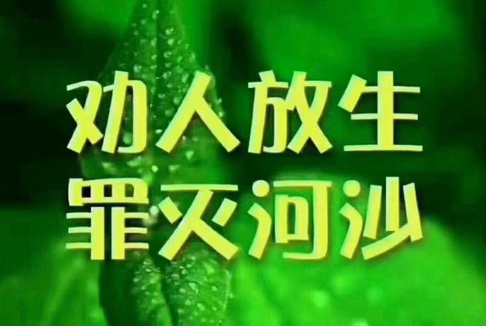 佛学因缘果报完整版、因缘果报怎么化解