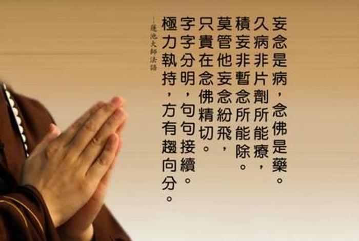 大航法师中论 大航法师开示