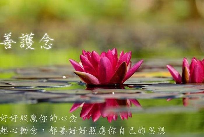 修行为什么要善护念、为什么要修善法