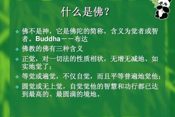 新佛教入门知识和技巧视频大全，新佛教入门知识和技巧视频大全集