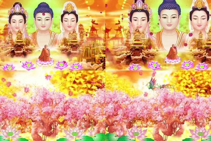 佛教一些知识素材视频教程下载 - 佛教视频素材免费下载