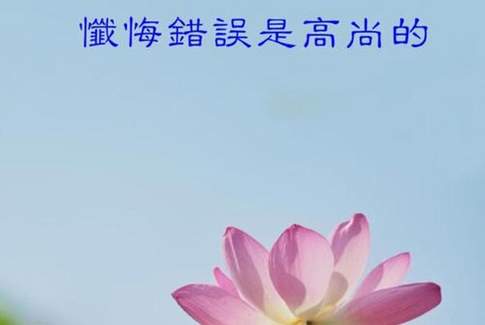 佛教的错误、佛教错误为何不能直接承认错误呢