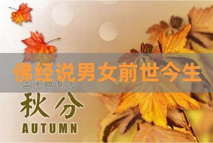 佛教讲解男女关系（佛教说男女感情）