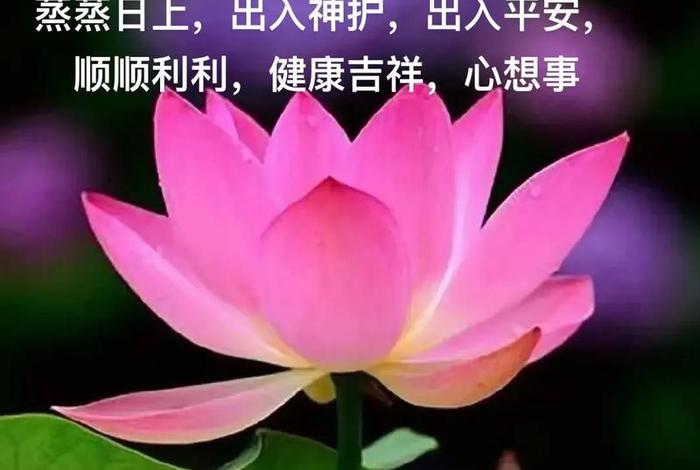祈福的真正含义佛教知识有哪些（祈福指的是什么）