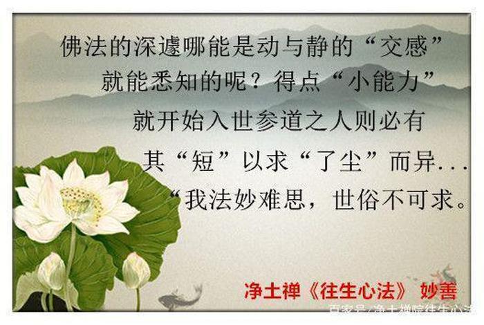正知见对修行的重要性 什么叫正知正见净土