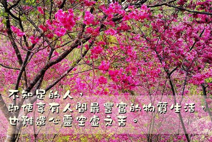 感恩大善大德的句子 感恩大德下一句