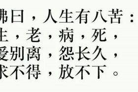 佛说人生四苦是哪四苦（佛曰人生有四苦）