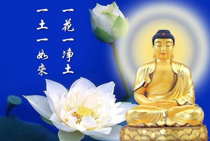 佛教十大真理图片大全 佛教真理的七个标准