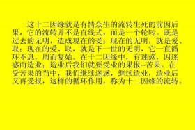 前因后果佛教；前因后果的
