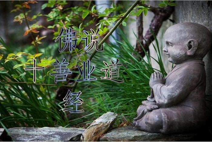 十不善业的果报，十不善业果报差别心得
