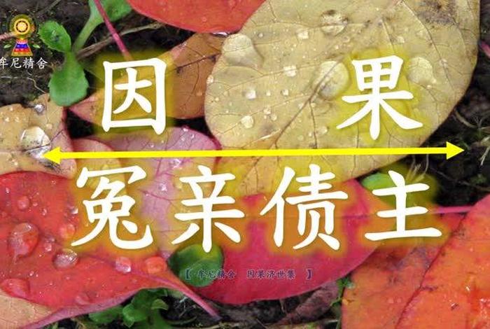 修行冤亲债主现前、佛法冤亲债主
