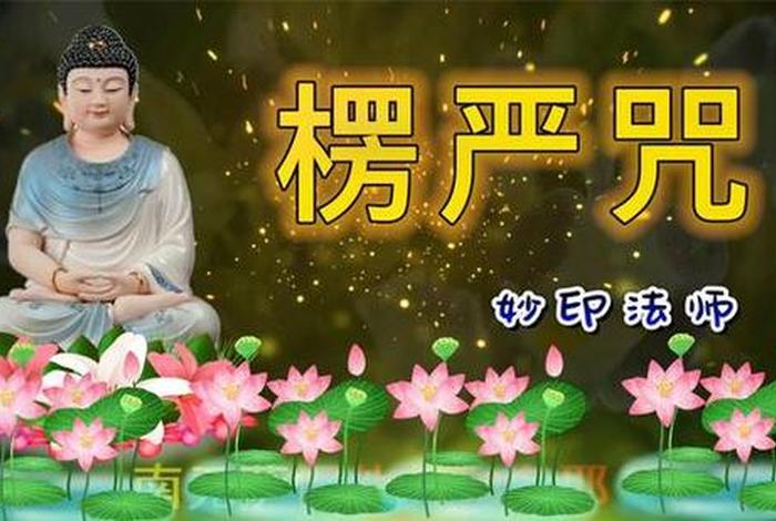 佛学类视频 佛学视屏网