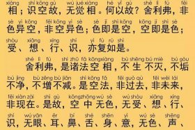 佛经密中密（密宗佛经念诵视频）