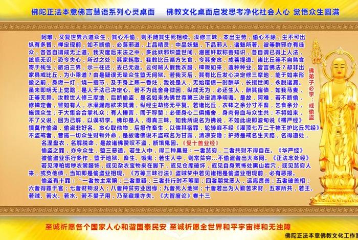 佛教教会我们什么（佛法教会我们什么）