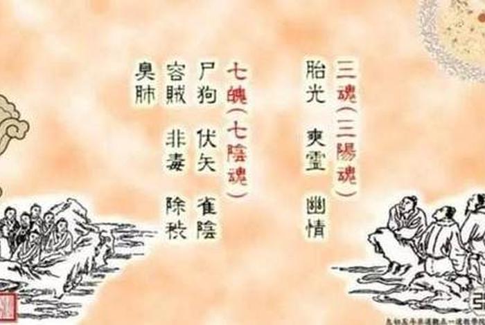 有关佛学的成语、佛学成语大全