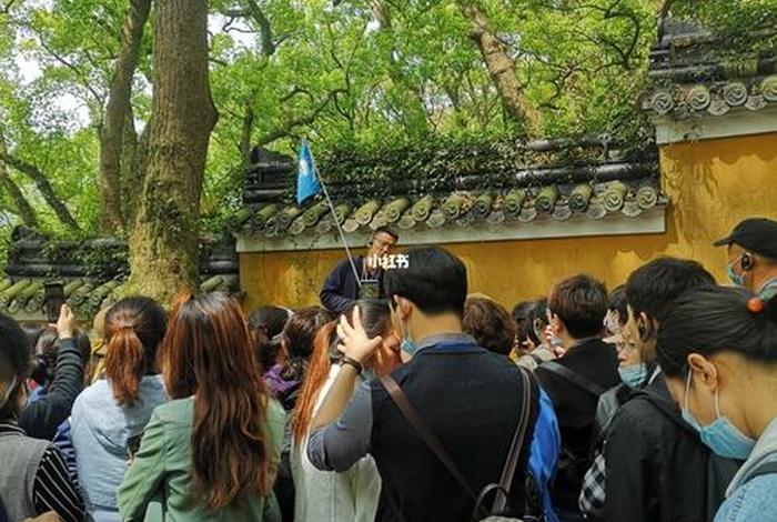 普陀山小帅导游视频全集（普陀山小帅导游视频全集免费）