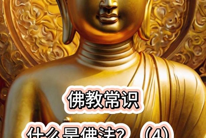 佛教是最难学的知识吗为什么、佛教是最难学的知识吗为什么还要学