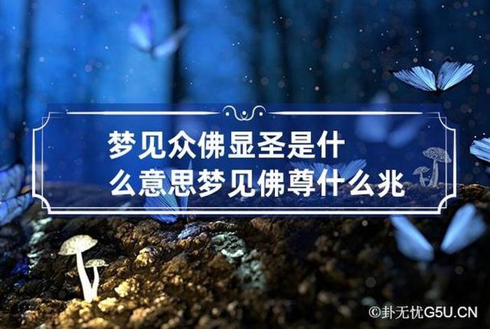 梦见给佛说话 - 梦见佛说话了但是记不清楚