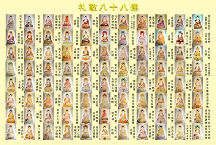 佛教知识大小排序图解视频 - 佛教基本知识入门
