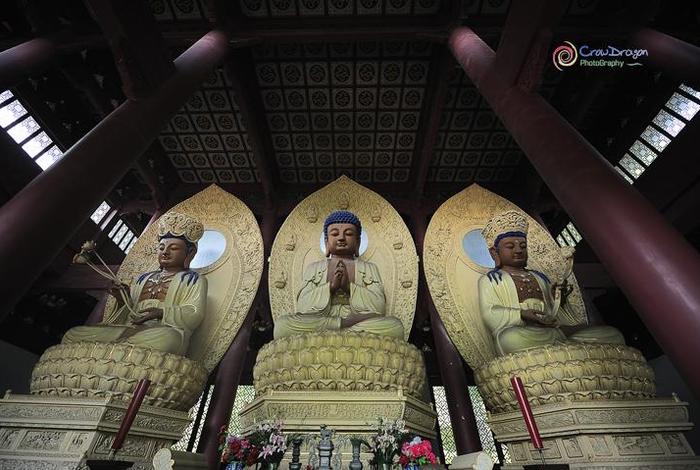 佛学寺院视频 高清佛教寺庙视频
