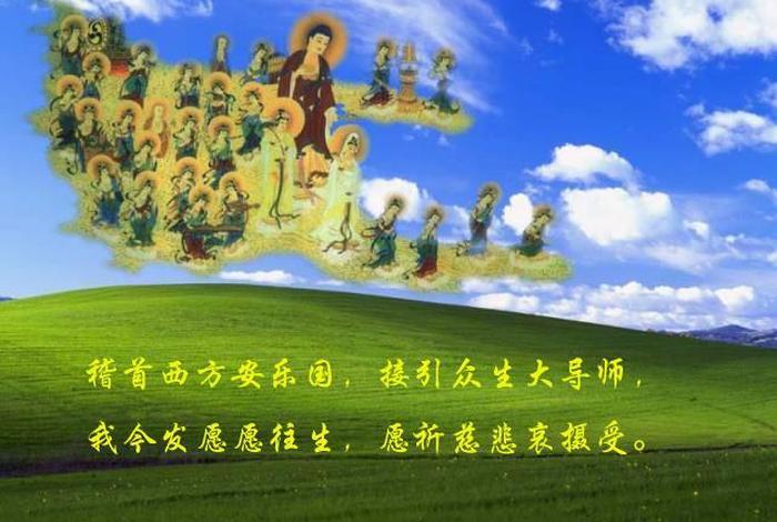 佛教基础知识教学视频，佛教教程视频