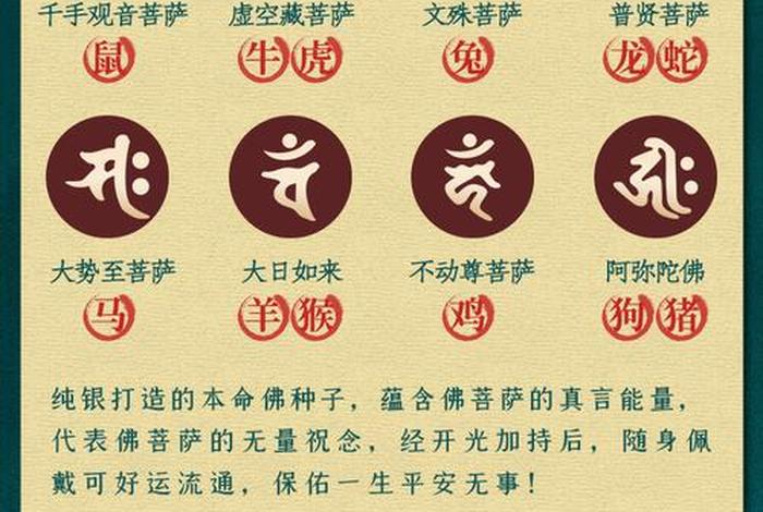 佛教珠宝知识讲解大全集图片，珠宝佛的寓意