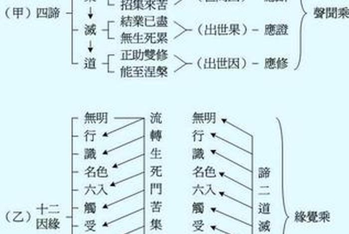 五因缘九因缘十二因缘说（12因缘讲解）