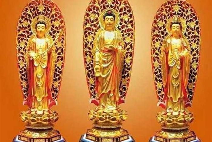 佛教法师公众号；佛教法师微信