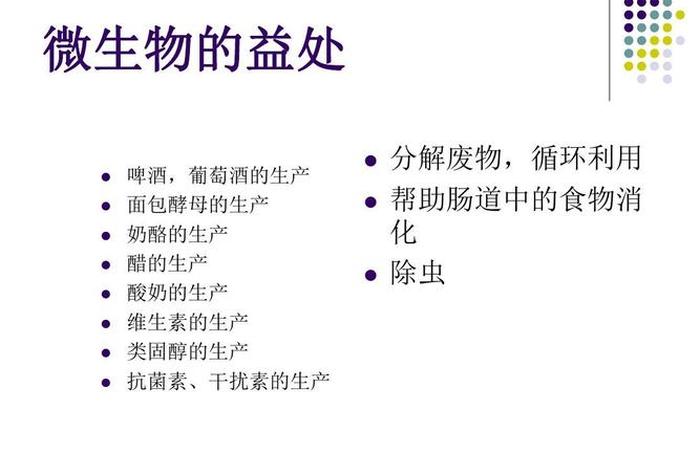 微生物的理解、微生物的概述