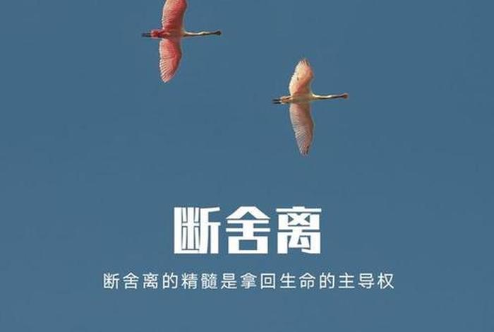 佛学的精髓是什么、佛学的精髓是什么看清看淡放下