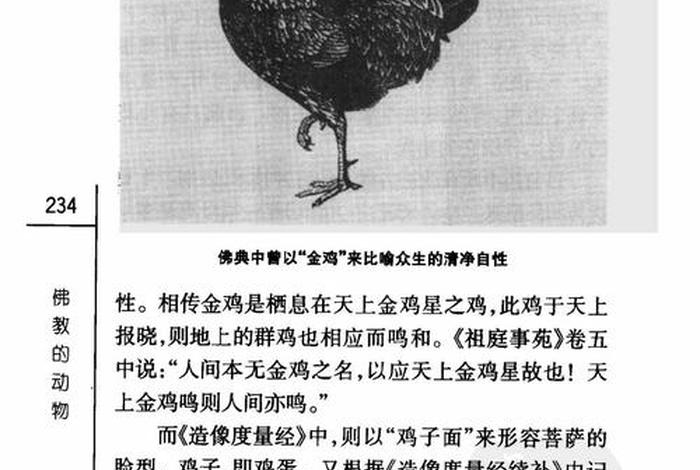 佛教讲动物等级（佛教 动物）