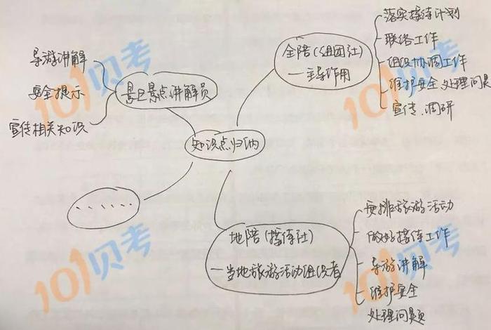 全国导基知识点整理；全国导基和地方导基的出题比例