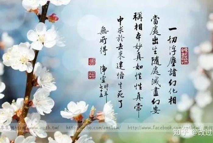 佛教的智慧与聪明有区别吗，佛教的智慧与聪明有区别吗知乎