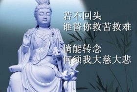 喜欢佛学能做什么工作 喜欢佛学的人
