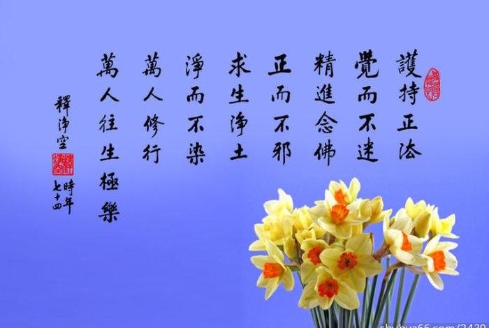佛教讲的是什么、佛教讲的是什么用一句话概括净空