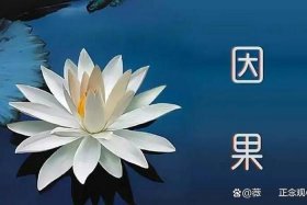 佛教基础知识业力有多重要；佛教所说的业力是什么