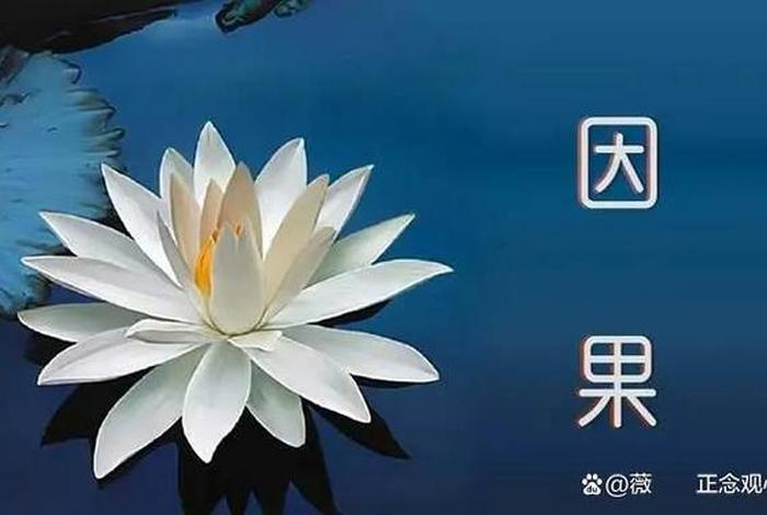 佛教基础知识业力有多重要；佛教所说的业力是什么
