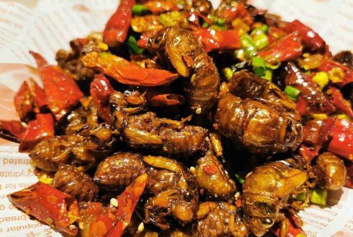 佛教的七荤八素、七荤八素百度百科