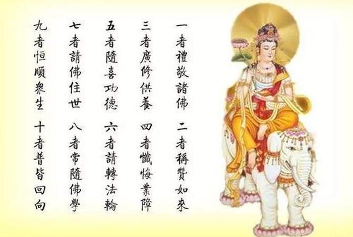 弘善佛教网app下载 - 弘善佛教网怎么样
