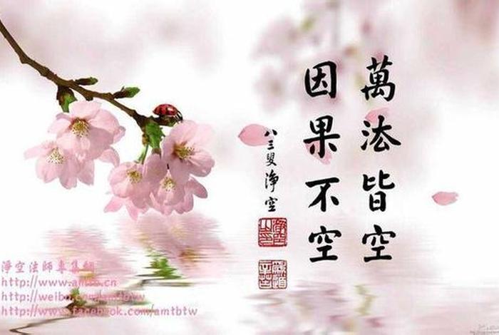 因果佛家名句 - 佛教关于因果的经典语录
