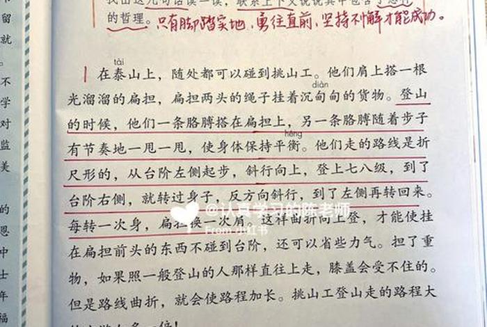 佛教基础知识25课视频教学；佛教基础知识25课视频教学全集