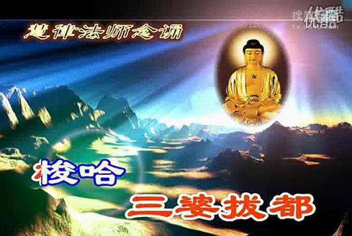 佛教健康知识视频播放（佛教视频讲座大全）